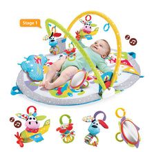 Load image into Gallery viewer, Yookidoo Gymotion Sitting Playmat for Babies and Toddlers