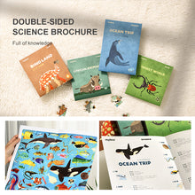 Load image into Gallery viewer, MiDeer Let's Learn Puzzle - Educational Puzzle for Kids