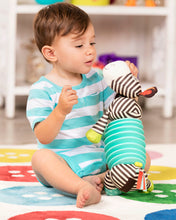 Load image into Gallery viewer, B. Toys Squeezy Zeeby Soft Accordion Zebra