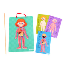 Load image into Gallery viewer, Mideer Body Magnet Puzzle for Kids