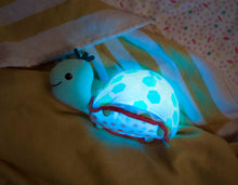 Load image into Gallery viewer, B. Toys Glow Zzzs, Shelle Glowable Soothing Turtle

