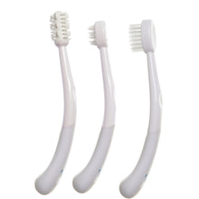 Load image into Gallery viewer, Dreambaby Toothbrush Set 3 Stage White - For young gums and developing teeth
